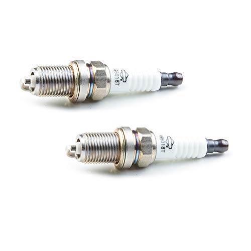 Briggs & Stratton 496018-2pk Spark Plug (2 Pack) For OHV Engines Replaces 5066K, RC14YC