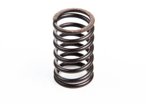 Briggs & Stratton 692180 Valve Spring Replacement for Models 26478, 555076 and 692180