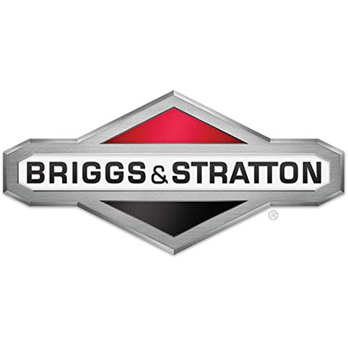 Briggs & Stratton 690939 Hex Nut Genuine Original Equipment Manufacturer (OEM) Part