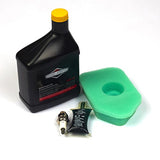 Briggs & Stratton 5107B Tune-Up Kit