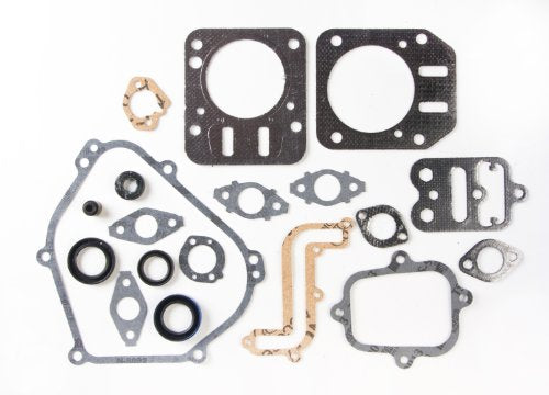 Briggs & Stratton 791797 Engine Gasket Set Replacement for Models 699638, 698680 and 697000