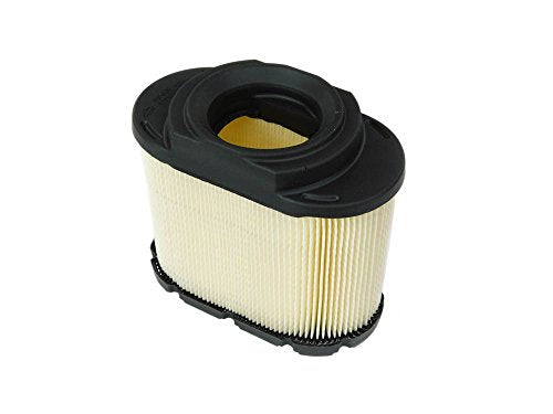 Briggs & Stratton 593240 Lawn & Garden Equipment Engine Air Filter Genuine Original Equipment Manufacturer (OEM) Part