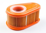 Briggs & Stratton 792038 Air Cleaner Cartridge Filter