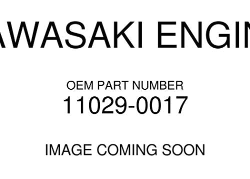 Kawasaki Engine Fj18v Element Assembly Air Filter 11029-0017 New OEM