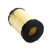 Briggs and Stratton 594201 Air Filter