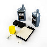 Kohler 2078901S Maintenance Kit Engine Parts