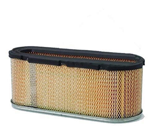 Briggs & Stratton 496894S Oval Air Filter Cartridge