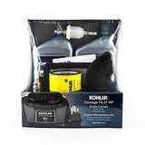 Kohler 2078901S Maintenance Kit Engine Parts