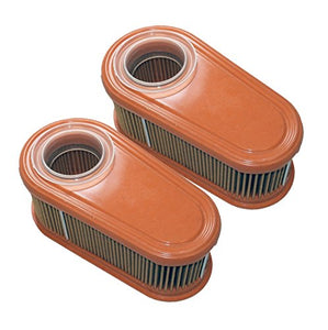 Briggs & Stratton (2 Pack) 795066 Oval Air Filter Cartridge # 795066-2pk