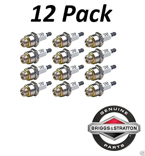 Briggs and Stratton 796112 Pack of 12 Spark Plugs (RJ19LM)
