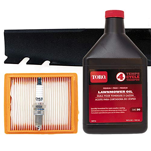 Toro Recycler with Kohler Engine Tune-up Kit (Serial Number 314200001 thru 315000000)