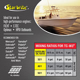 STAR BRITE Premium 2-Cycle Engine Oil TC-W3 - 1 GAL (19000)