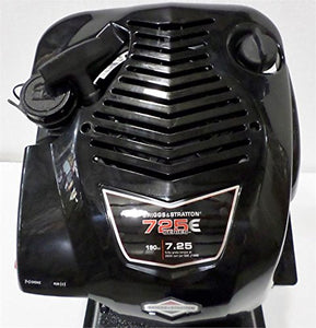 Briggs & Stratton Vertical Engine 7.25 TP 3/4 x 3-5/32 HF #128M02-0010