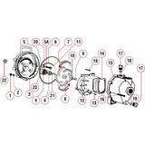 Banjo 200PH-5E 2" Poly Pump with 5.5 HP Honda Engine with Electric Start